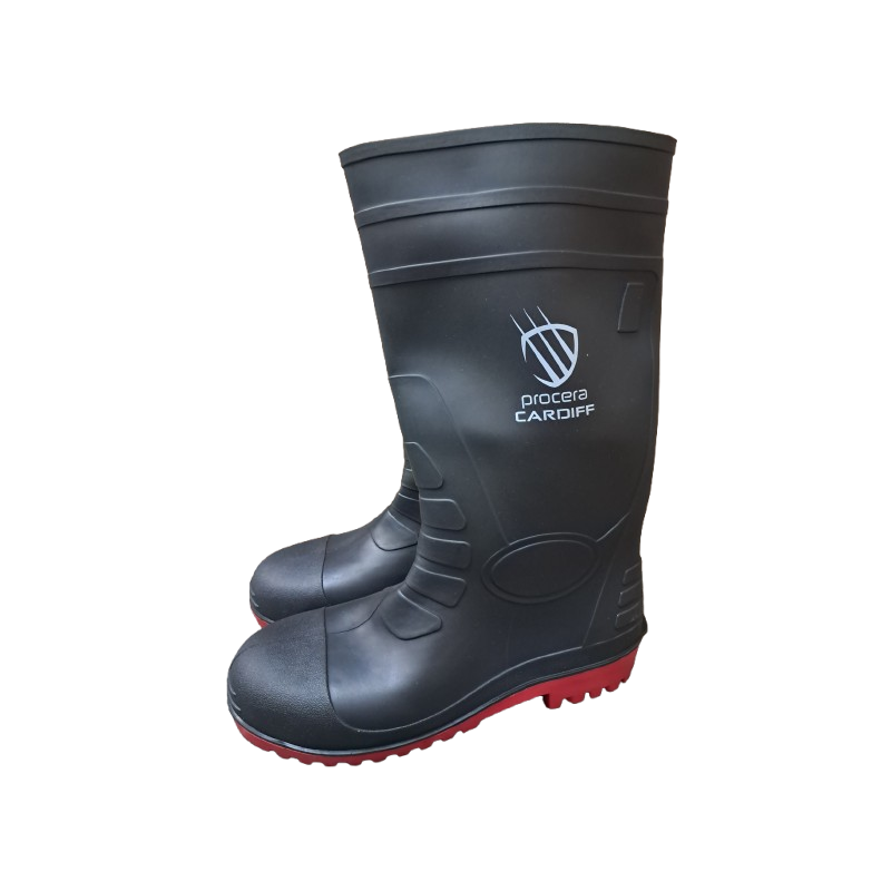 Gumowce  wysokie   PROCERA